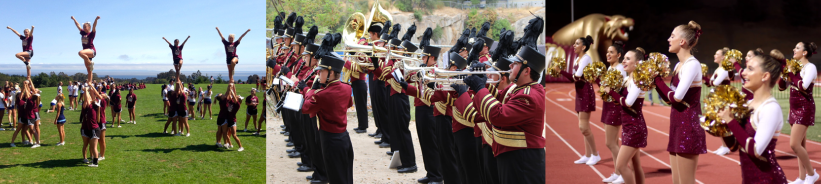Cheer Team, Marching Band, Dance Team